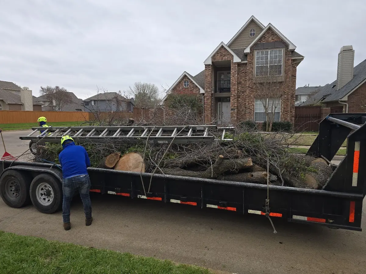 Expert Tree Pest Control with proper safety equipment in Watton
